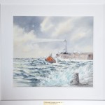 Bangor artist donates iconic lifeboat piece to Donaghadee RNLI